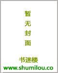 暗黑之狂暴圣骑封面